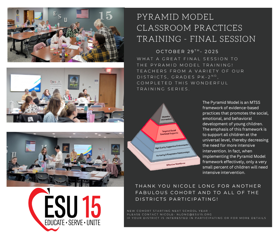 Pyramid Model Classroom Practices Training - Completed!